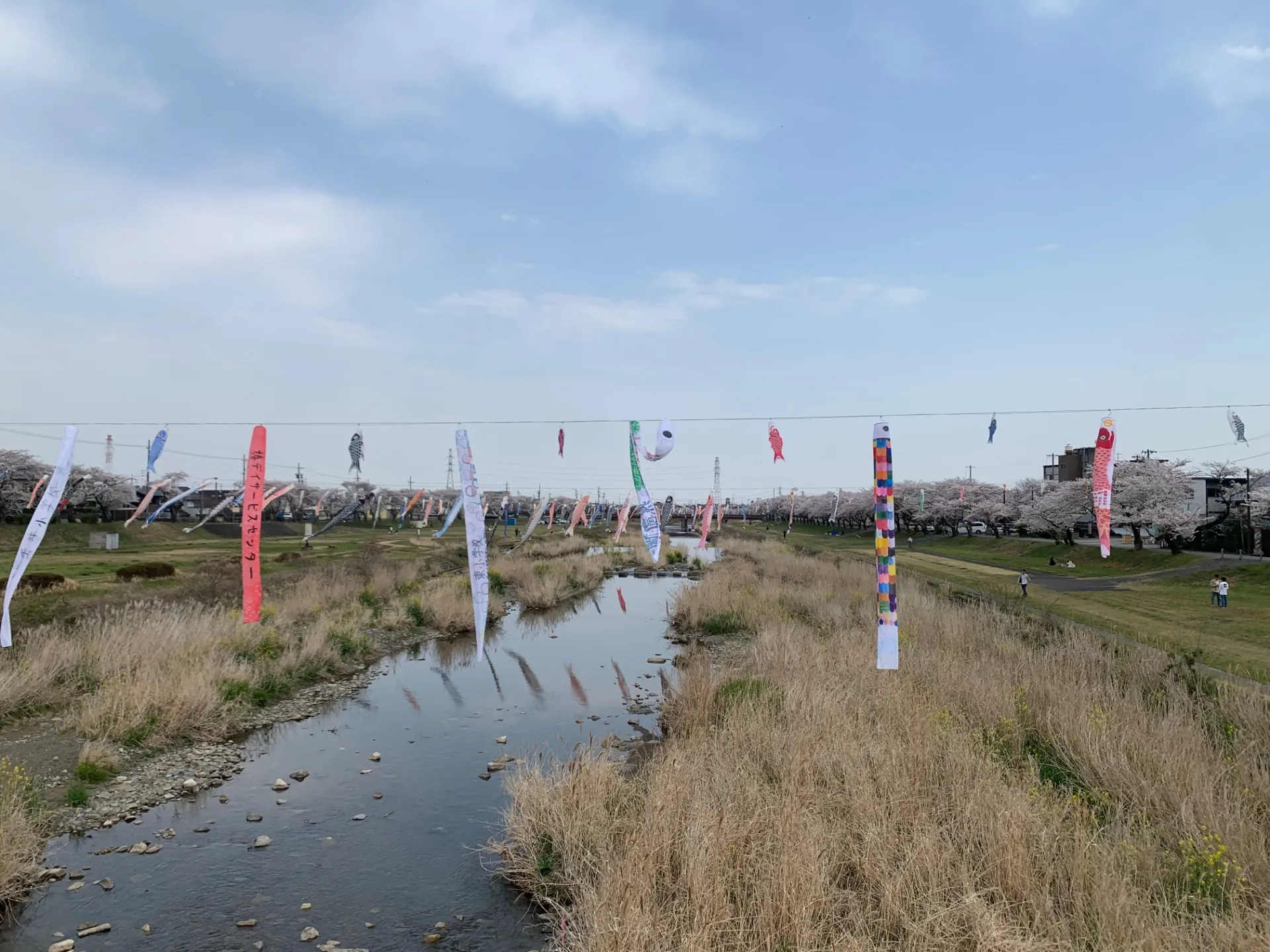 ハウスパレットのブログ♪